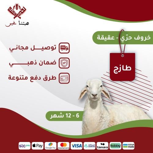 ذبيحة عقيقة حري مستوفاة جميع الشروط 16-20 كيلو