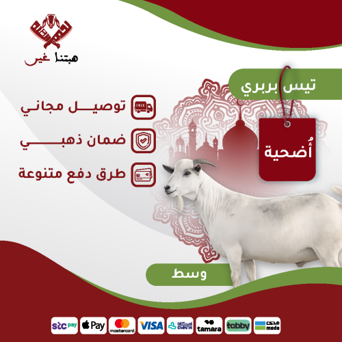 اضحية تيس بربري