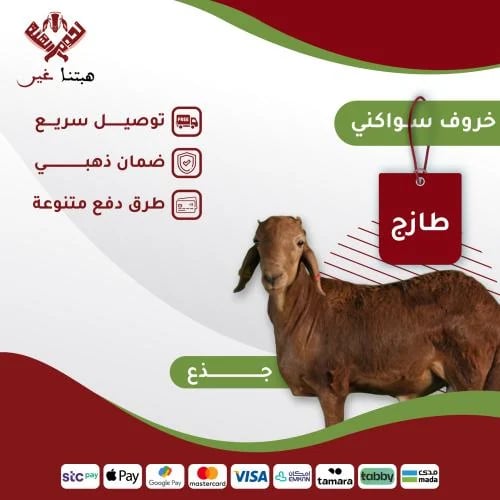 ذبيحة جذع سواكني 20-25 كيلو