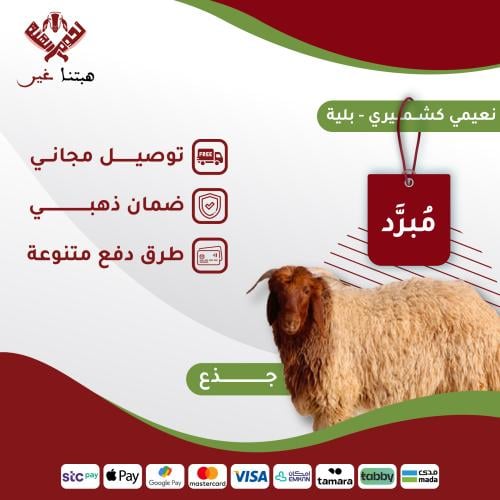 ذبيحة جذع نعيمي كشميري باكستاني بلية 12-13 كيلو