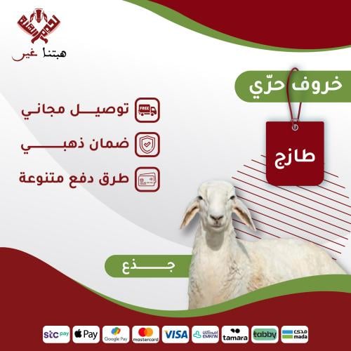 ذبيحة جذع حري 20-24 كيلو