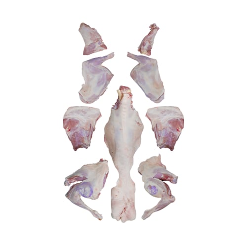 ذبيحة عقيقة سواكني مستوفاة جميع الشروط 18-22 كيلو