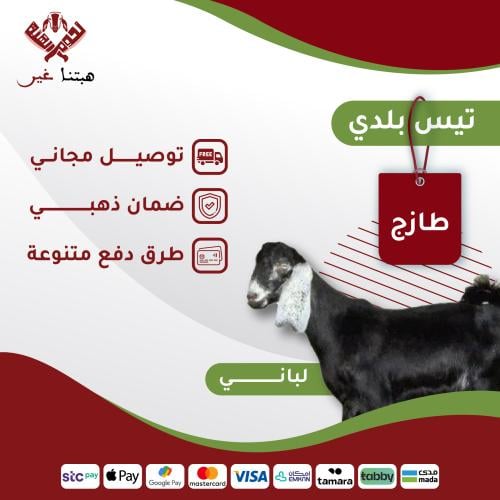 ذبيحة لباني تيس بلدي 9-12 كيلو