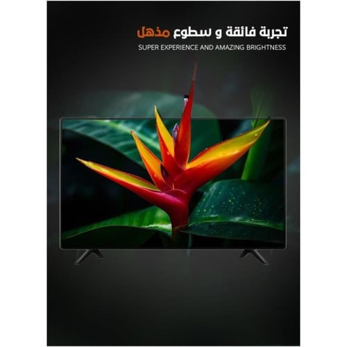 ام تي سي شاشة ذكية 4K WebOS - 65 بوصة - MTC4KD65SW...