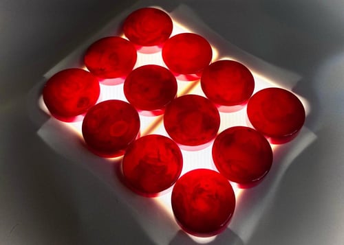 أفياش عدد 15 فيش أحمر