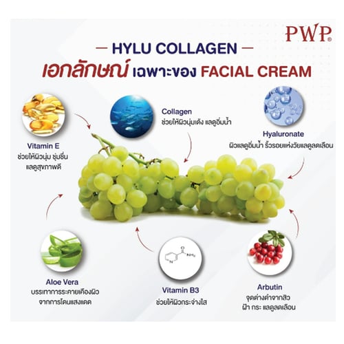 كريم بي دبليو بي هايلو كولاجين بلس PWP - لتفتيح ال...