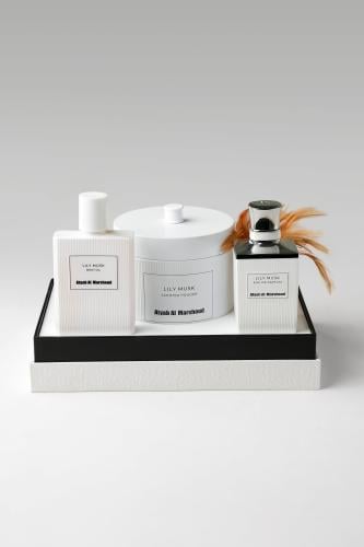 Lily Musk Collection
