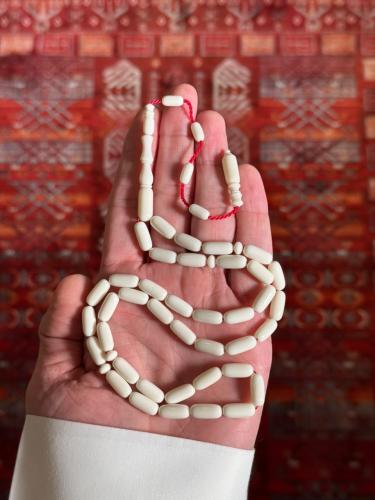 عظم جمل تمليكة صنوبري