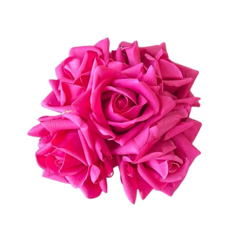 Fuchsia rose - روز فوشي