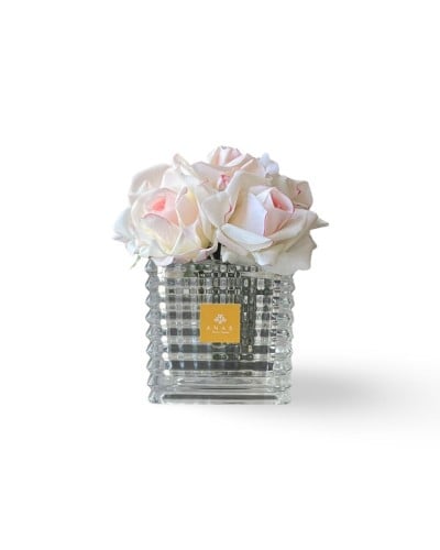 روز أبيض مع زهري- White and pink rose