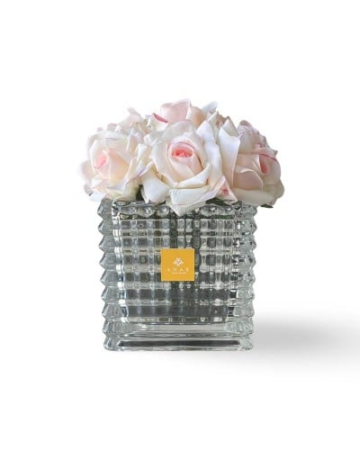 روز أبيض مع زهري-White and pink rose