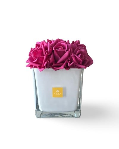 روز فوشي -Pink rose