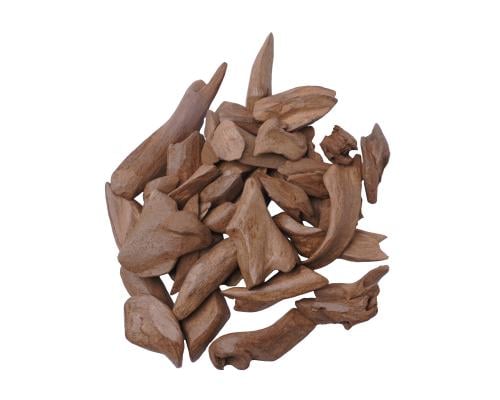 عود المجالس