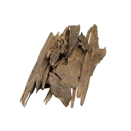 عود القافلة