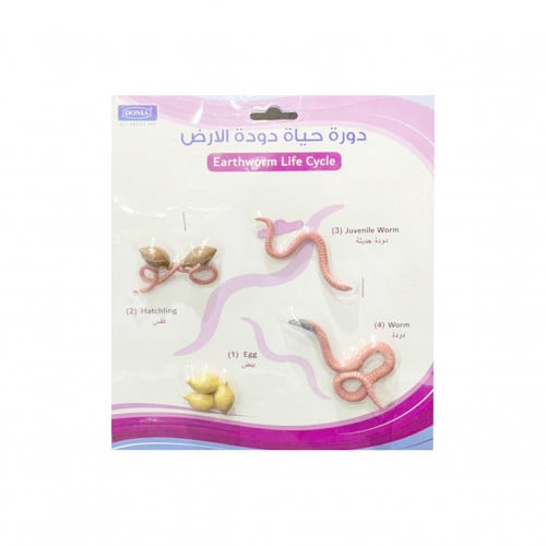 دونيا دورة حياة دودة الأرض , موديل : DON-81-190