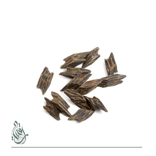 تايقر فتنامي درجة أولى