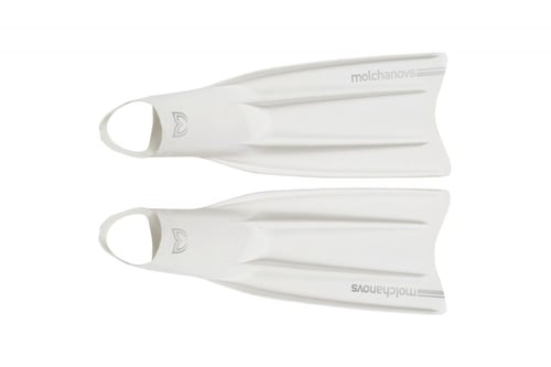 زعانف مولشانوف سيليكون