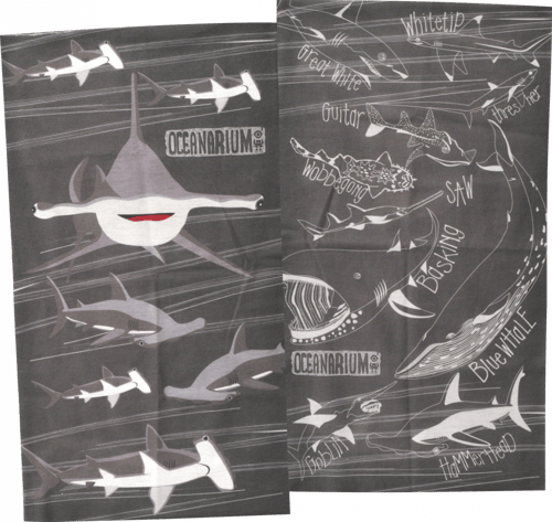 بندانة Oceanarium H03 hummerhead