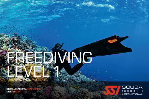 دورة غوص حر مستوى أول