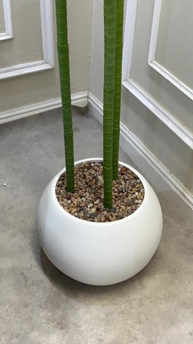 شجره صبار صناعي