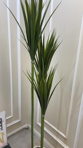 شجره صبار صناعي