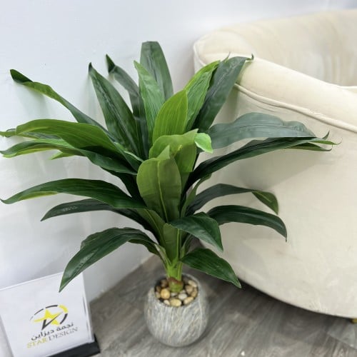 شجره مركن سراميك