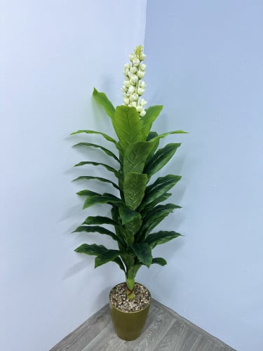 شجر مركن بلاستيك