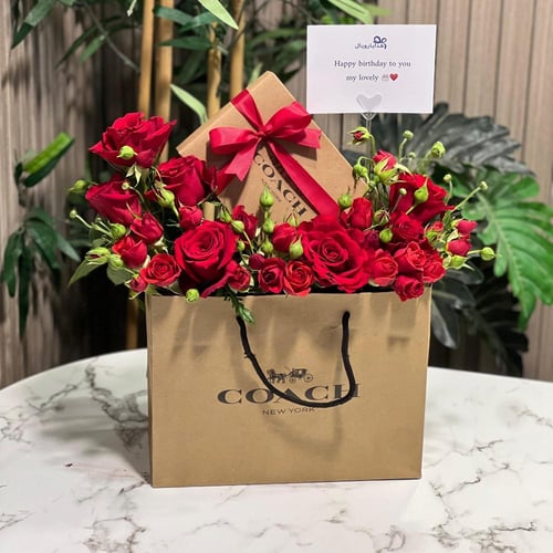 بكج طقم كوتش رجالي انيق