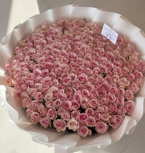 باقة بينك