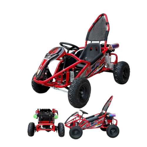 ️ باجي كهربائي عصري 48v