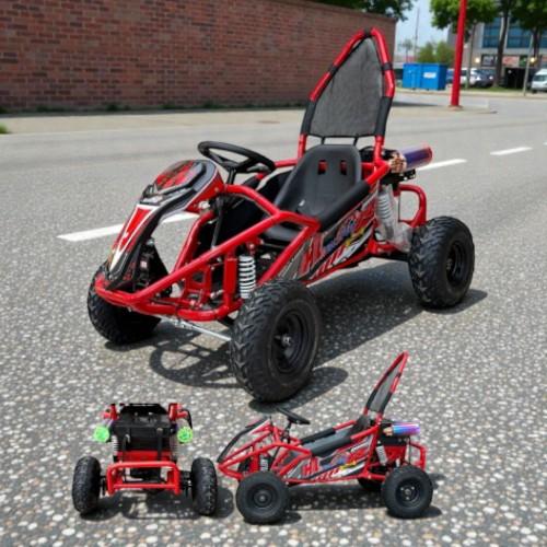 ️ باجي كهربائي عصري 48v