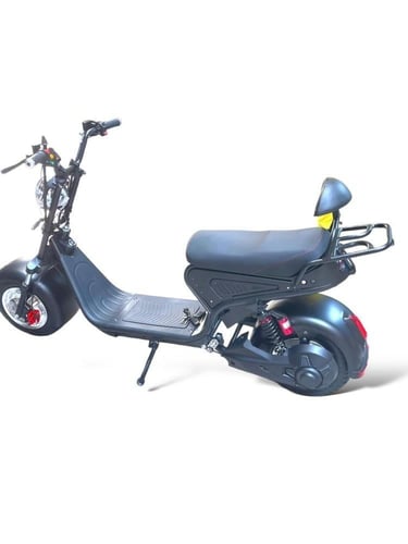 دباب هارلي بصمة 4000 واط 20 امبير