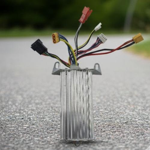 كتاوت - منظم