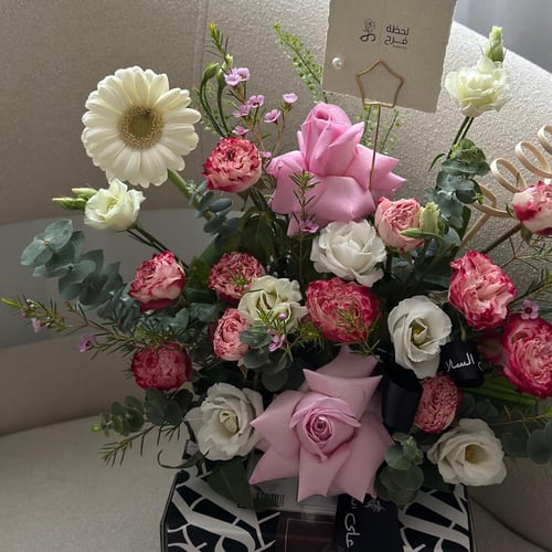 بوكس اني وداني كيك