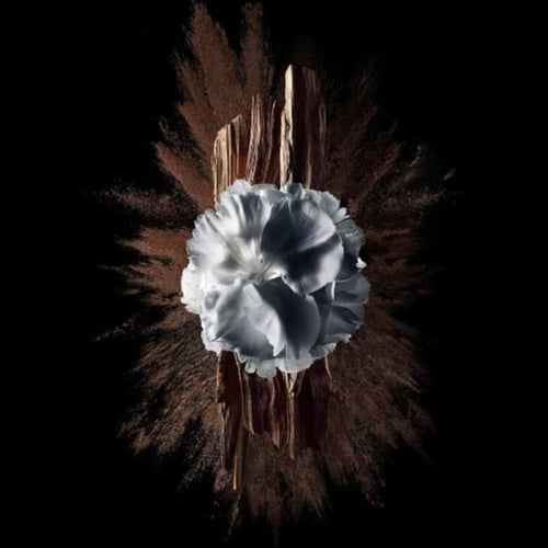 عطر جنتلمان سوسايتي أكستريم