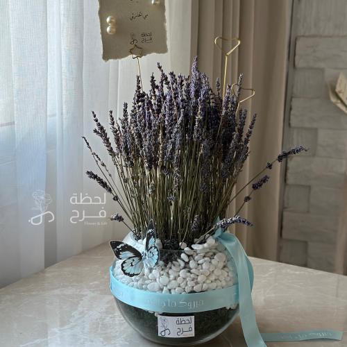 فازة لافندر بيبي سُلطان