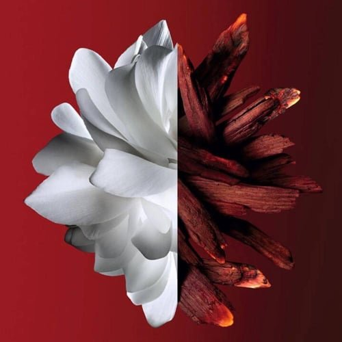 عطر لانترندي روج أو دو برفان