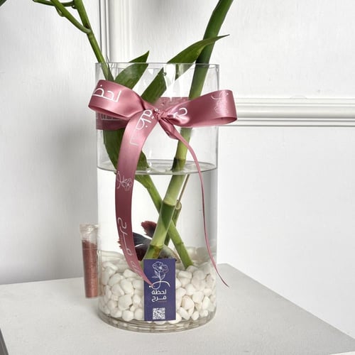 فازة سمك بامبو ليليوم