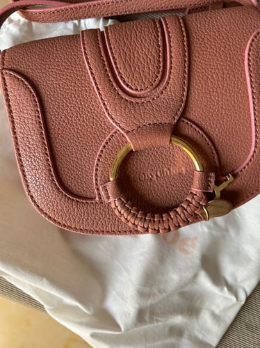 See by Chloe bag