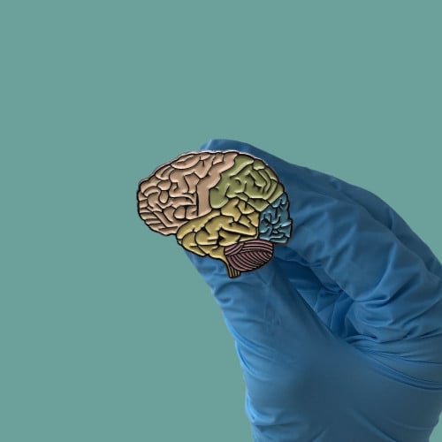 بروش الدماغ