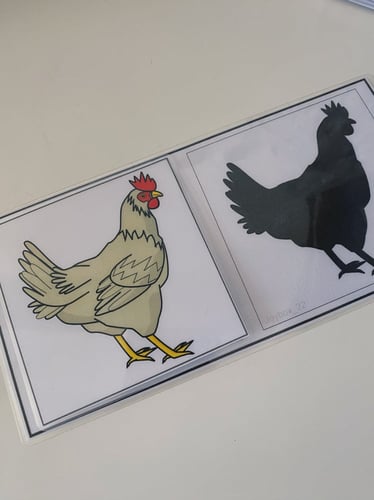 نشاط ظل الحيوانات