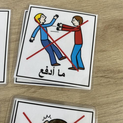 قوانين الفصل - فئات خاصة