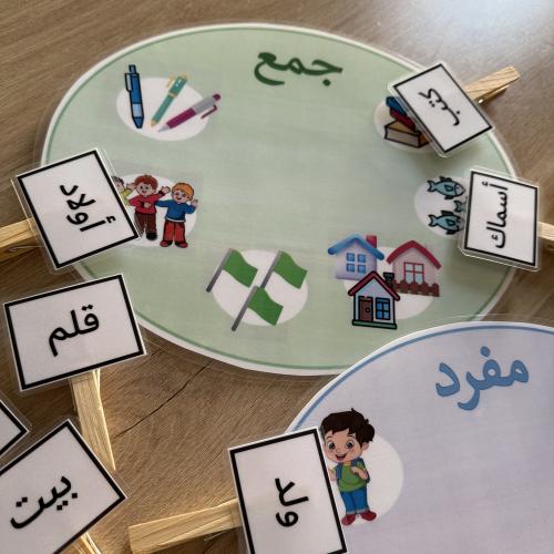 نشاط تصنيف المفرد والجمع