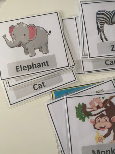 بطاقات الحيوانات ( باللغة الانجليزية )