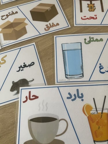 بطاقات المعكوسات