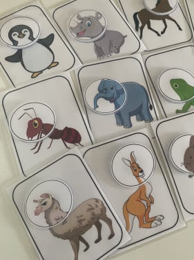 نشاط التعرف على الحيوانات (2)