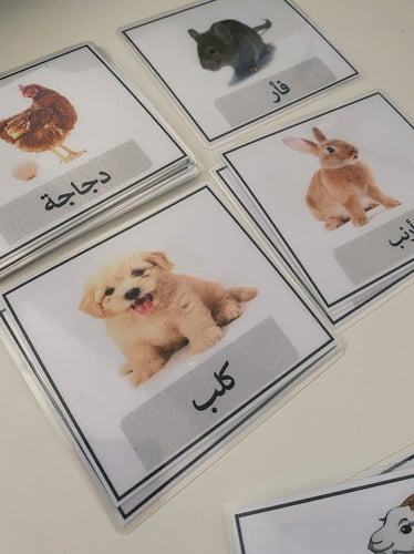 بطاقات مصورة ( الحيوانات )