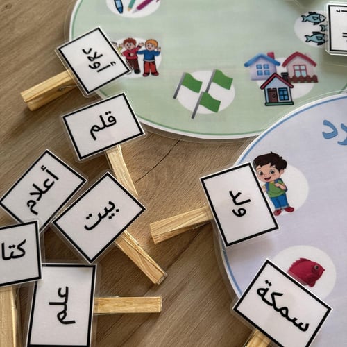 نشاط تصنيف المفرد والجمع