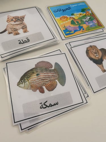 بوكس أنشطة (2-3) سنوات