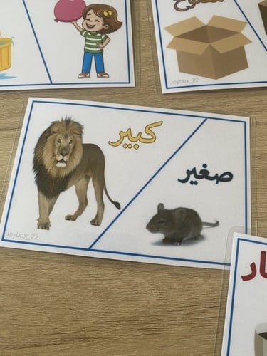 بطاقات المعكوسات